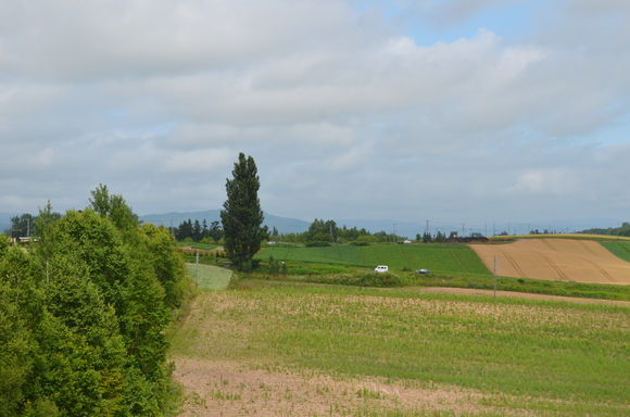 a0201316_0571570.jpg