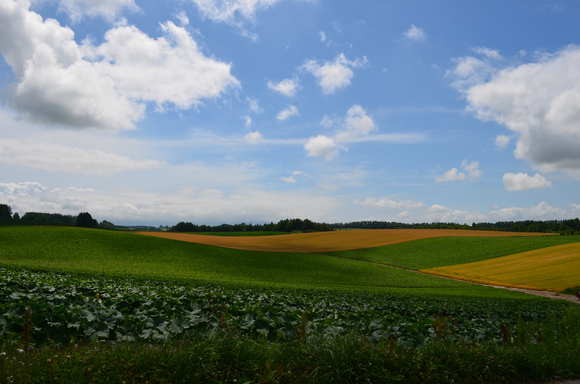 a0201316_1112121.jpg