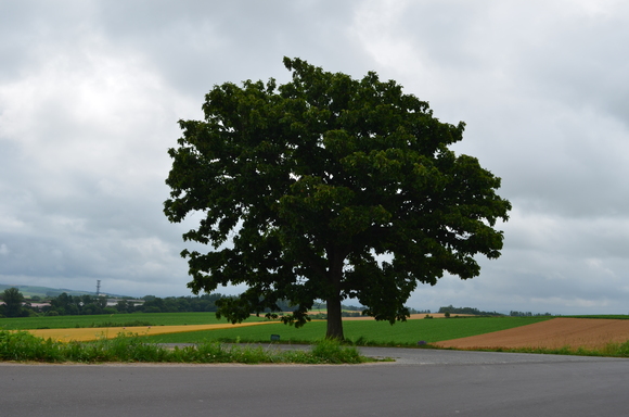 a0201316_11301.jpg