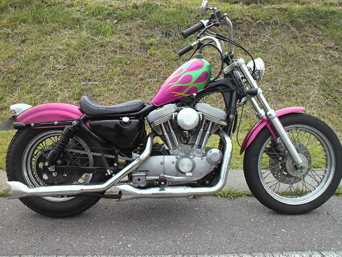 脳車!!95XL883 _a0257316_13443743.jpg