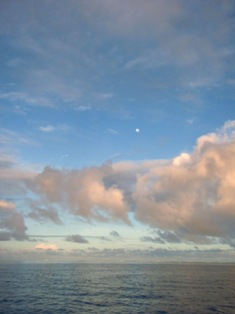 a0043520_4265878.jpg