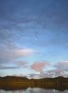 a0043520_427925.jpg
