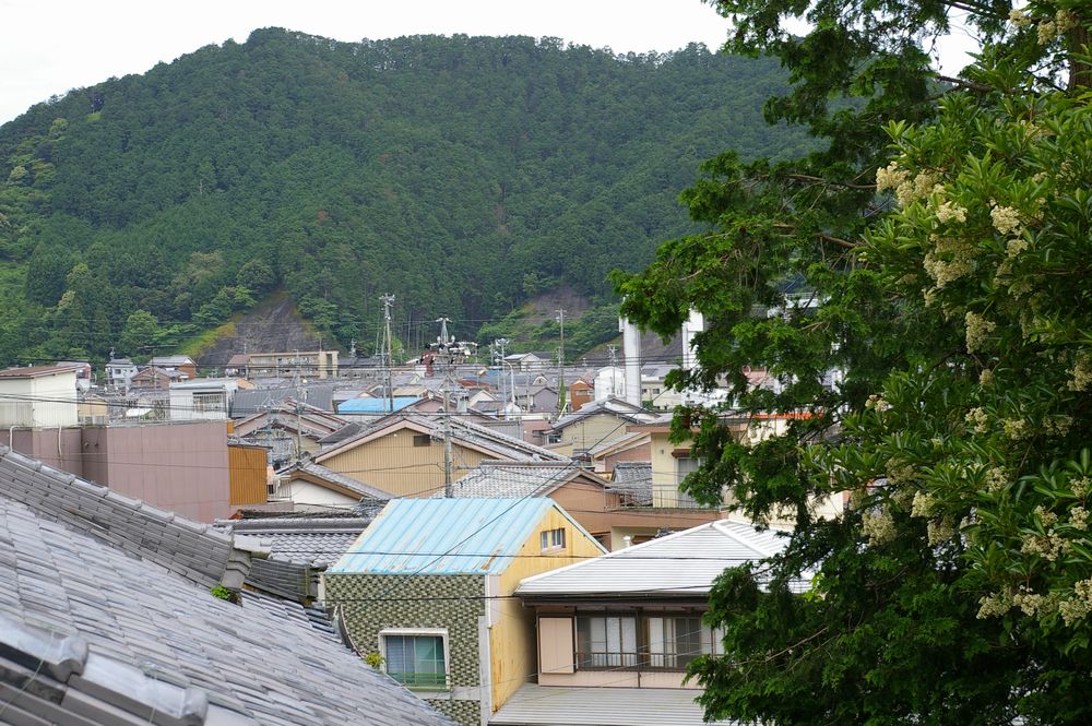 f0140720_248584.jpg