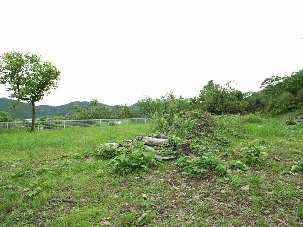 f0140720_2544242.jpg