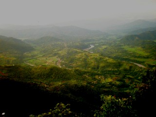 b0239629_38521.jpg