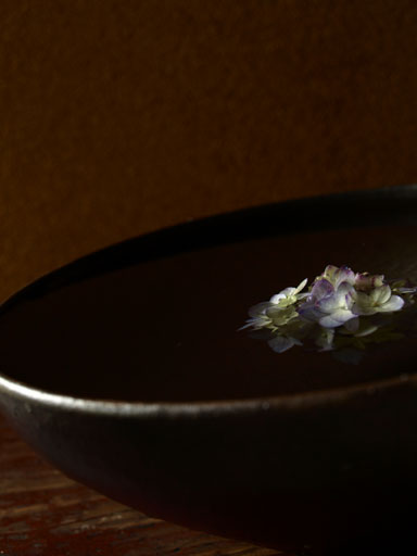 20120818.jpg
