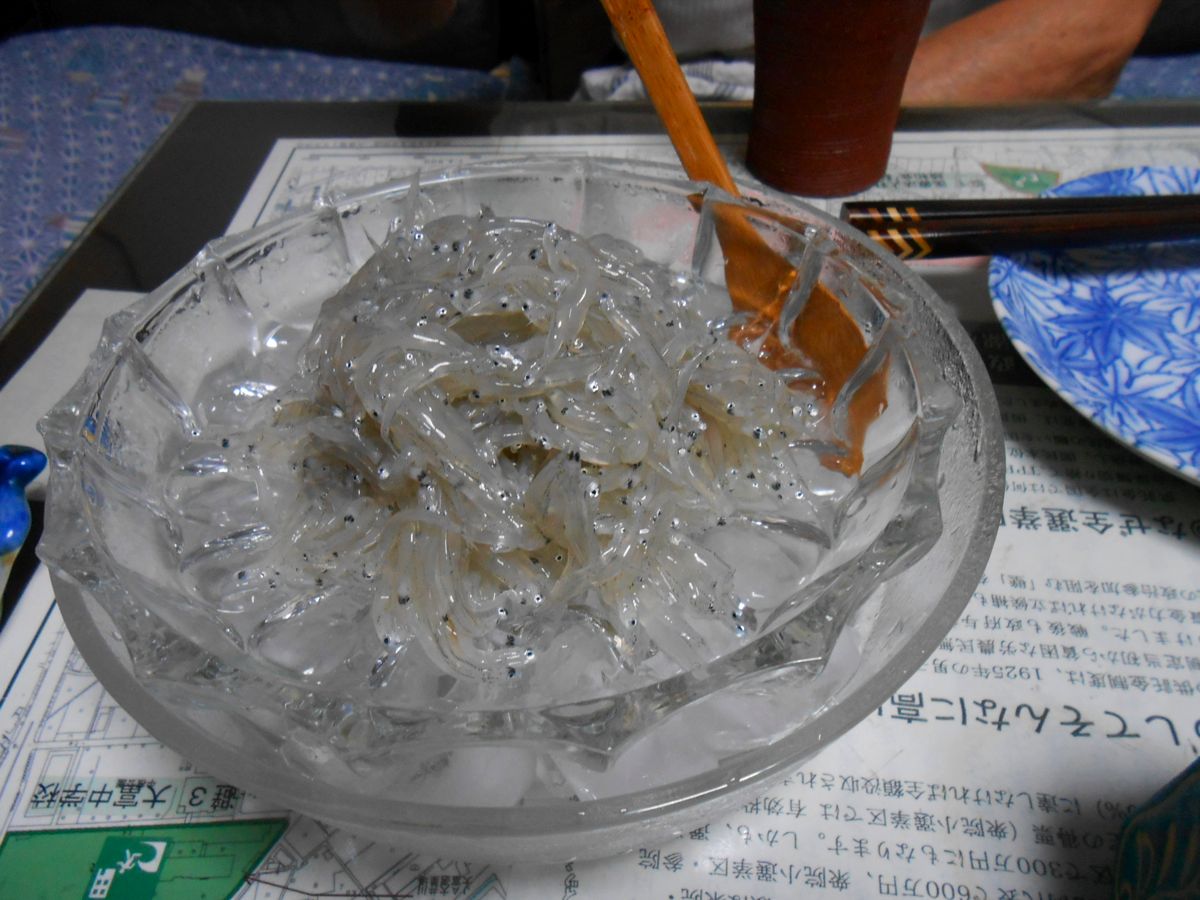 やっぱり生シラス_a0095931_11133526.jpg