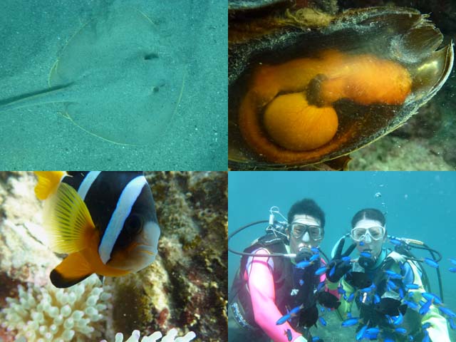 2012年9月4日(火・晴れ)甲浦_d0164831_15465344.jpg