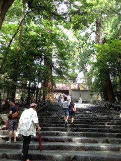 b0190640_21352858.png