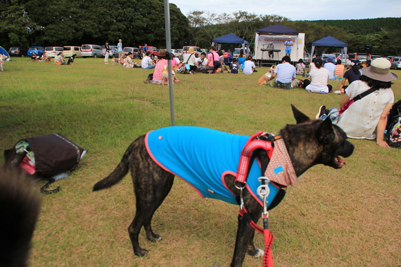 ちばわん 同窓会の地 マザー牧場へ 後編_e0249240_20532585.jpg