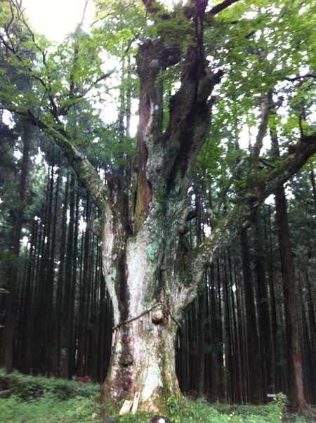 富士登山 0~3776m_e0189446_2356728.jpg