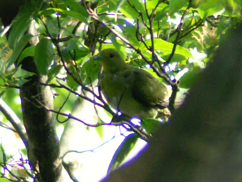 f0124451_06130.jpg