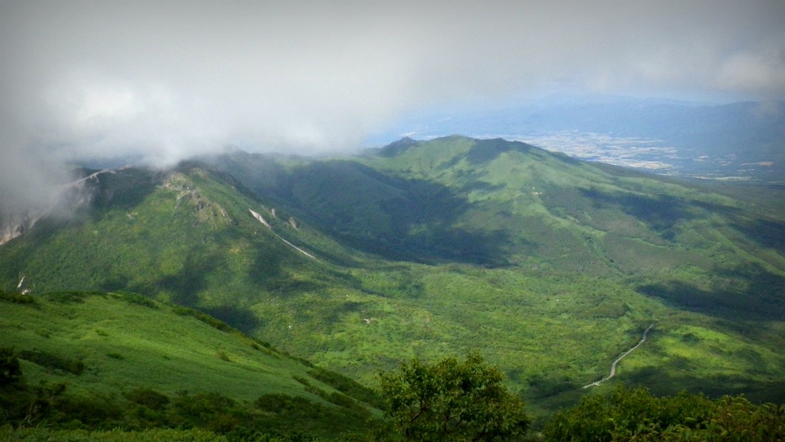 e0105954_1729258.jpg