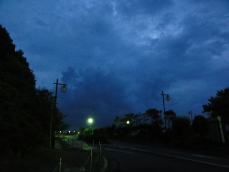 大阪府立大学カニ調査サポート⑦　in　せんなん里海公園_c0108460_0252620.jpg