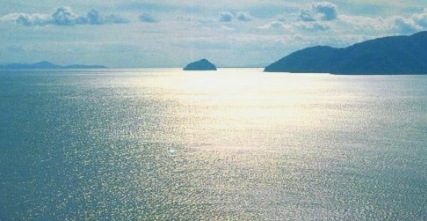 c0119160_603313.jpg