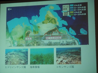 c0180460_11505443.jpg