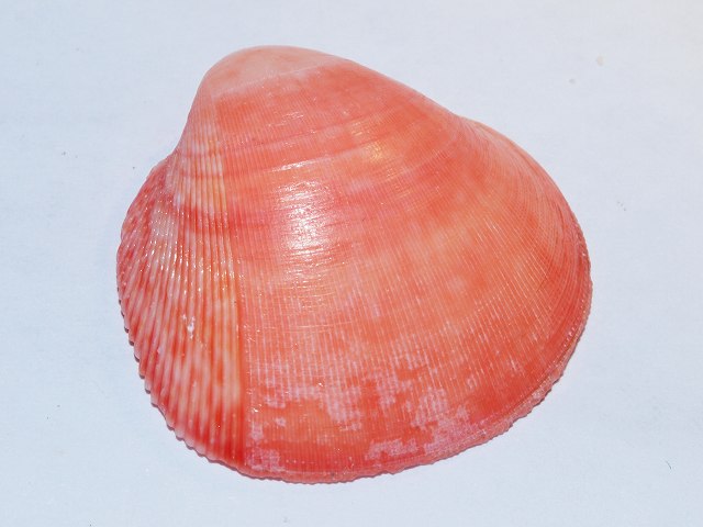 b0135573_22333918.jpg