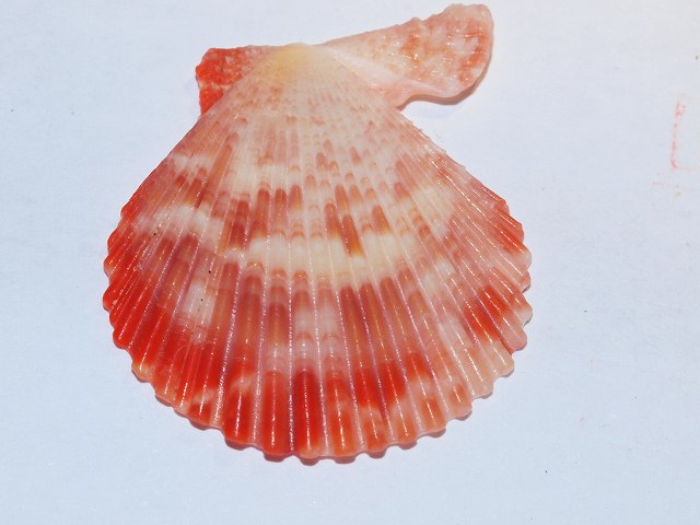 b0135573_22342375.jpg
