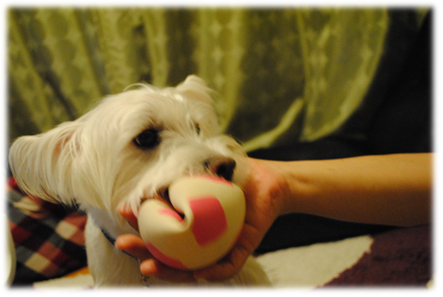b0242873_23143197.png