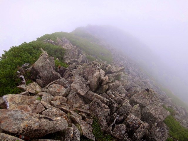 2012/08/29-30 UTMH(Ultra Trail Mount Hotaka)_b0220886_23113481.jpg