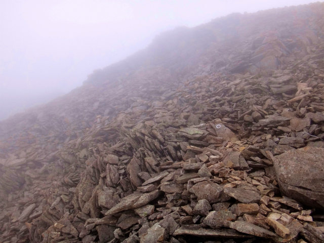 2012/08/29-30 UTMH(Ultra Trail Mount Hotaka)_b0220886_23121671.jpg