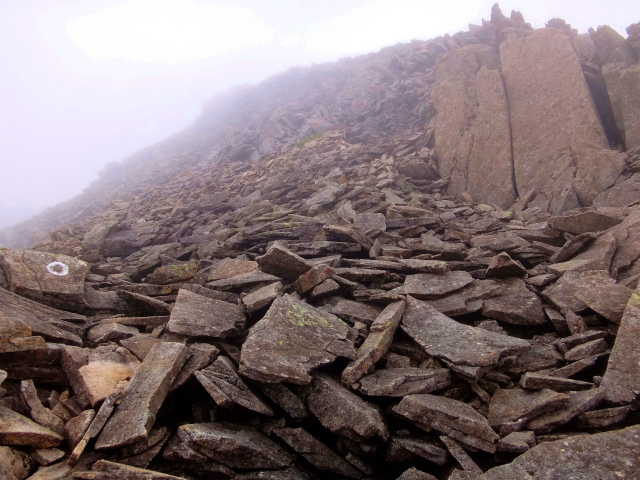 2012/08/29-30 UTMH(Ultra Trail Mount Hotaka)_b0220886_2312338.jpg