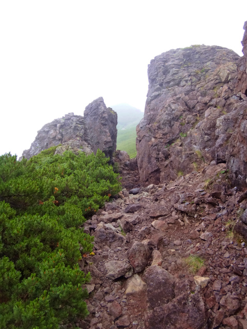 2012/08/29-30 UTMH(Ultra Trail Mount Hotaka)_b0220886_23211936.jpg