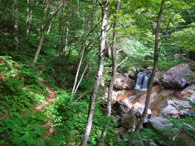 2012/08/29-30 UTMH(Ultra Trail Mount Hotaka)_b0220886_2324286.jpg