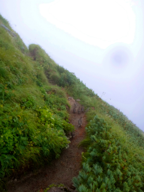 2012/08/29-30 UTMH(Ultra Trail Mount Hotaka)_b0220886_23314961.jpg