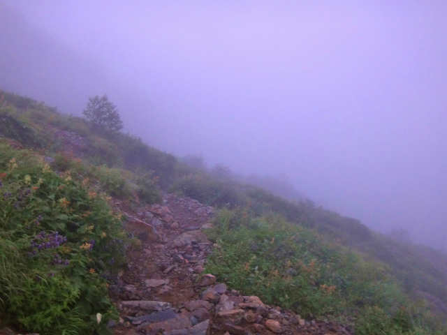 2012/08/29-30 UTMH(Ultra Trail Mount Hotaka)_b0220886_2352108.jpg