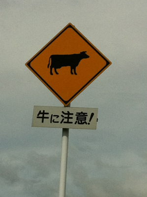 九州 夏 2012_e0261598_23211358.jpg
