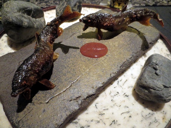 日本料理 龍吟_b0118001_7593034.jpg