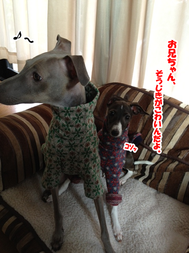 e0290901_14452420.png