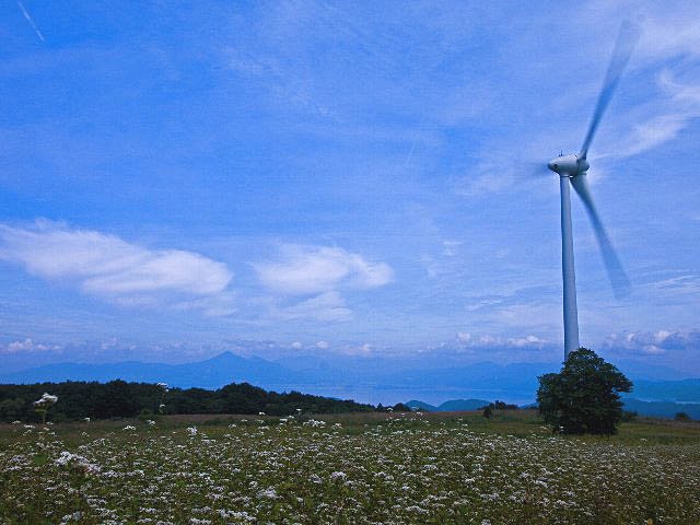 c0008502_156771.jpg