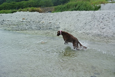 放浪の旅　　水陸両用マシーン♪ _a0134004_1320349.jpg