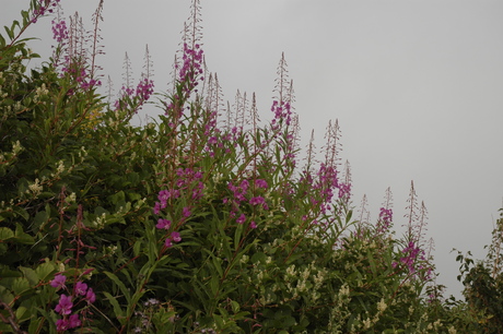 c0242406_9171156.jpg