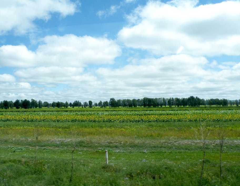 d0140806_0123053.jpg