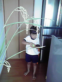 f0038407_875569.jpg