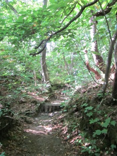 b0110708_16481591.jpg
