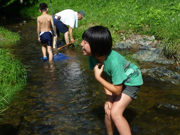 夏の川遊び_f0024708_4444252.jpg