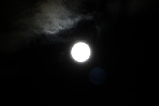 a0208109_2172921.jpg
