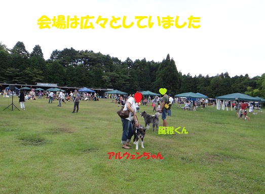 f0121712_1457132.jpg