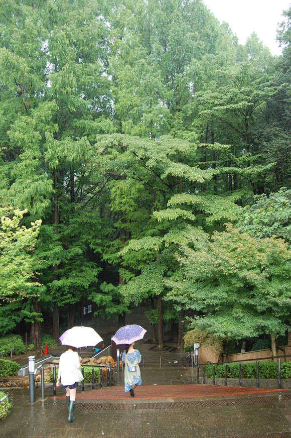 f0233815_0431181.jpg