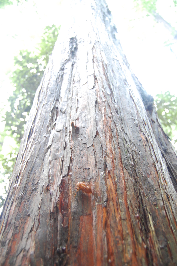f0233815_1631.jpg