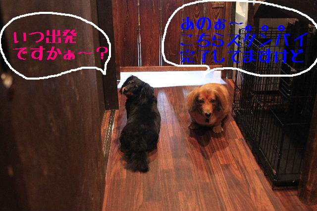 ほぼ完成～～！！_b0130018_1362488.jpg