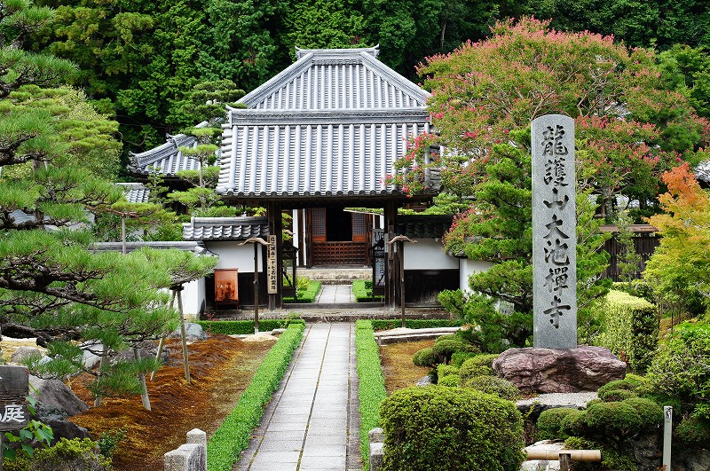 大池寺　蓬莱庭園_c0119618_15405658.jpg