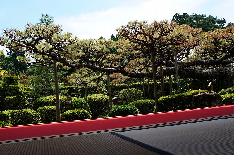 大池寺　蓬莱庭園_c0119618_1543562.jpg