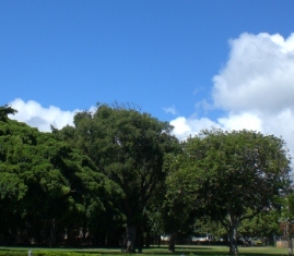 a0242019_654276.jpg