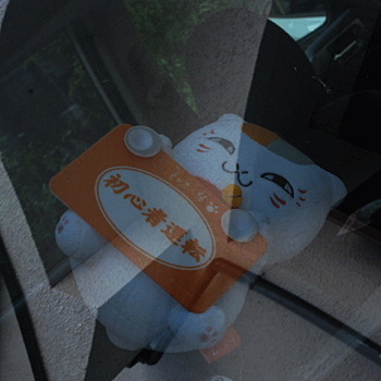 b0199522_21181875.gif