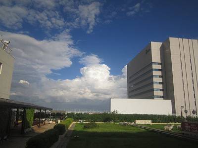 d0065324_081263.jpg